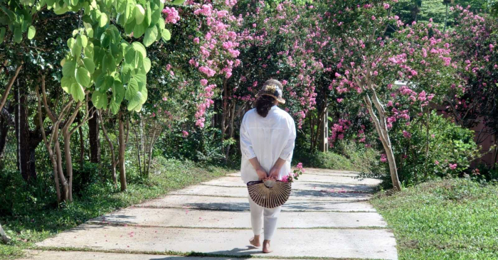 “Tắm rừng” một liệu pháp giúp con người giải tỏa căng thẳng và lo âu (Ảnh Vườn Ecotta).