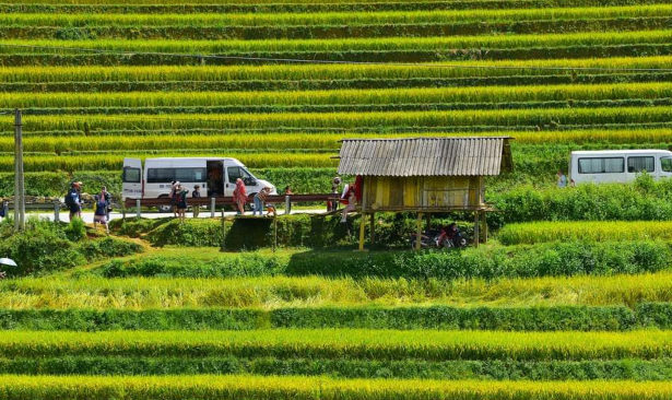 Nguồn ảnh fb SonLam Nguyễn.