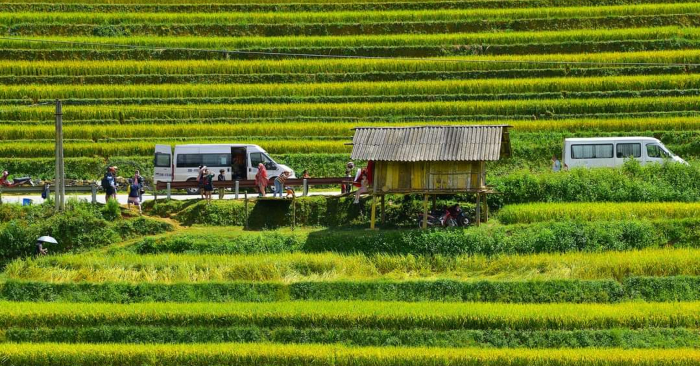 Nguồn ảnh fb SonLam Nguyễn.