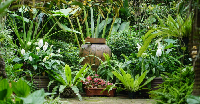 Vườn Ecotta