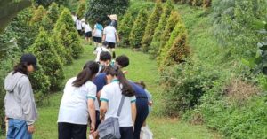 Trải nghiệm vườn thuận tự nhiên Ecotta.