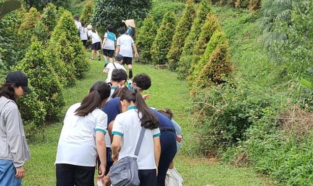 Trải nghiệm vườn thuận tự nhiên Ecotta.